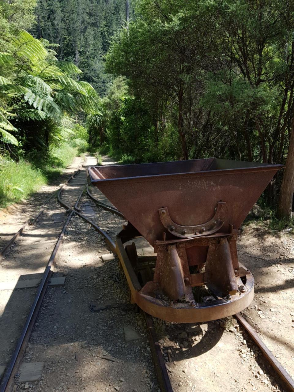 Karangahake Riverside Accommodation מראה חיצוני תמונה