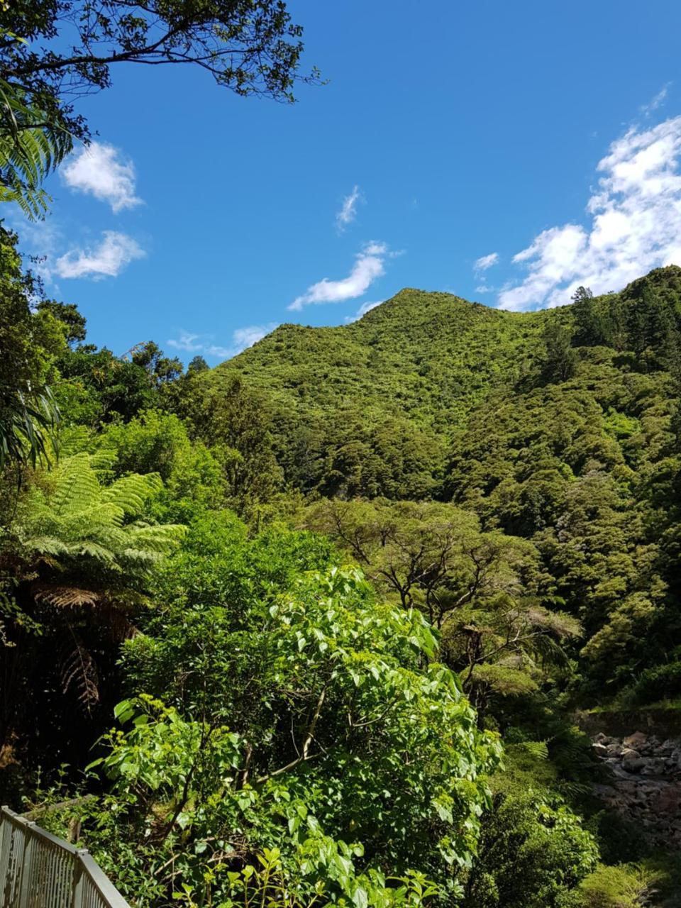 Karangahake Riverside Accommodation מראה חיצוני תמונה
